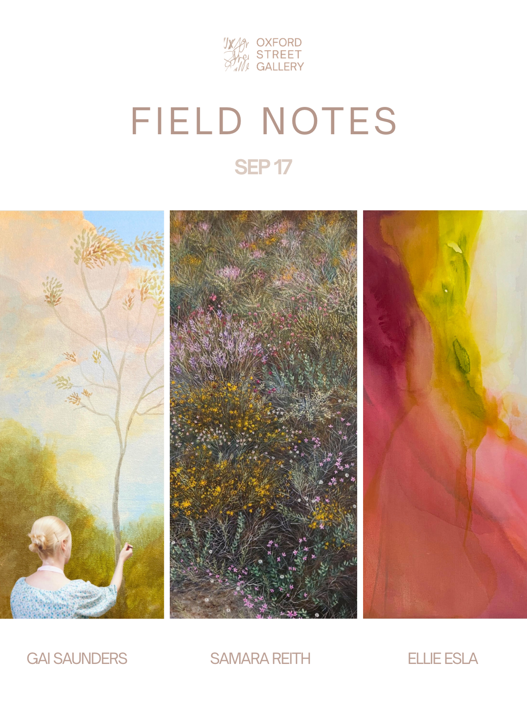 FIELD NOTES | Sep 17