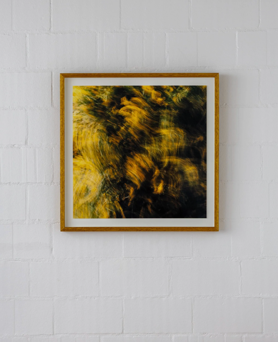 'Adeline' by Adam Kenna