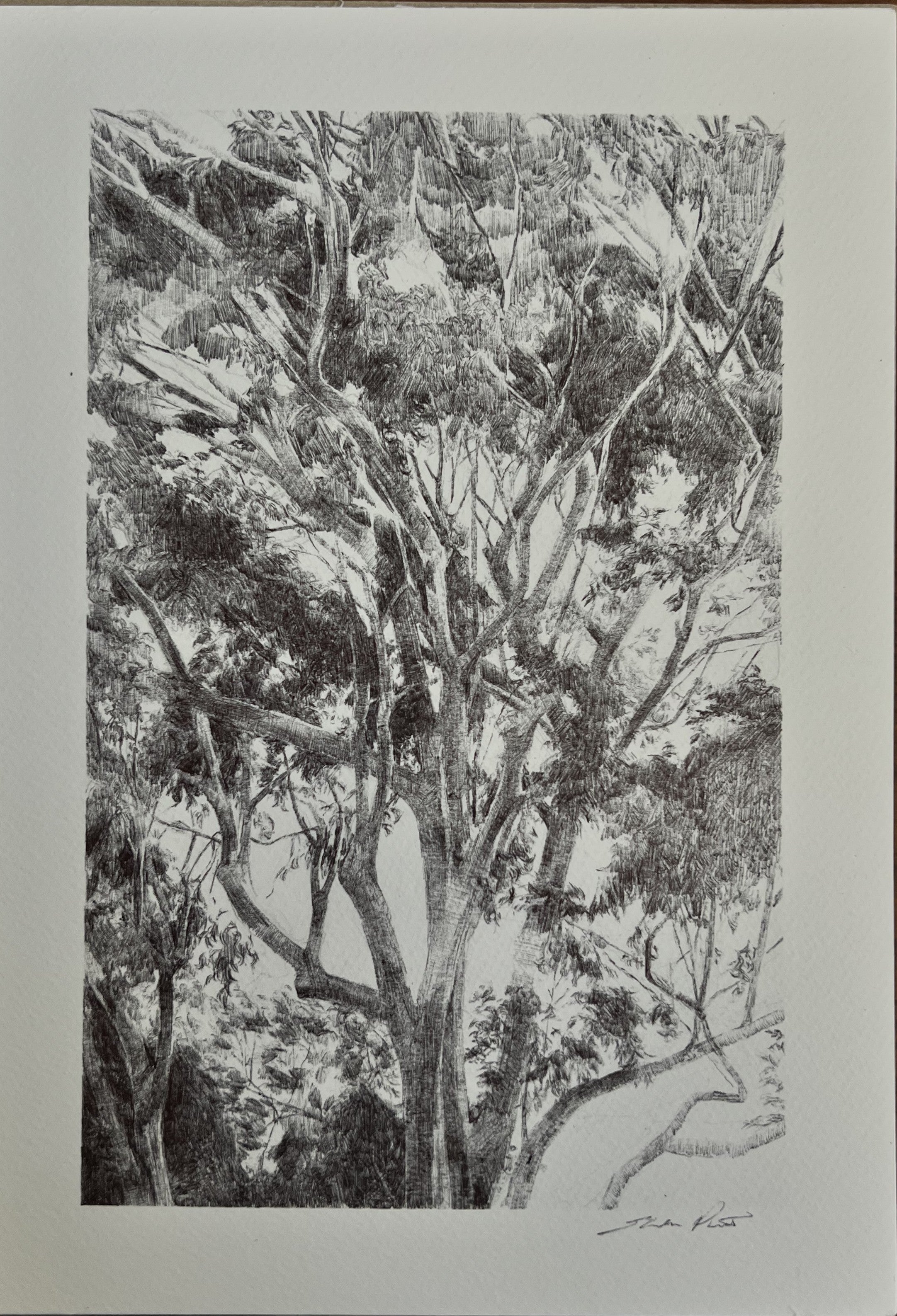 'Ivory Tower' by Eleisha Pirouet