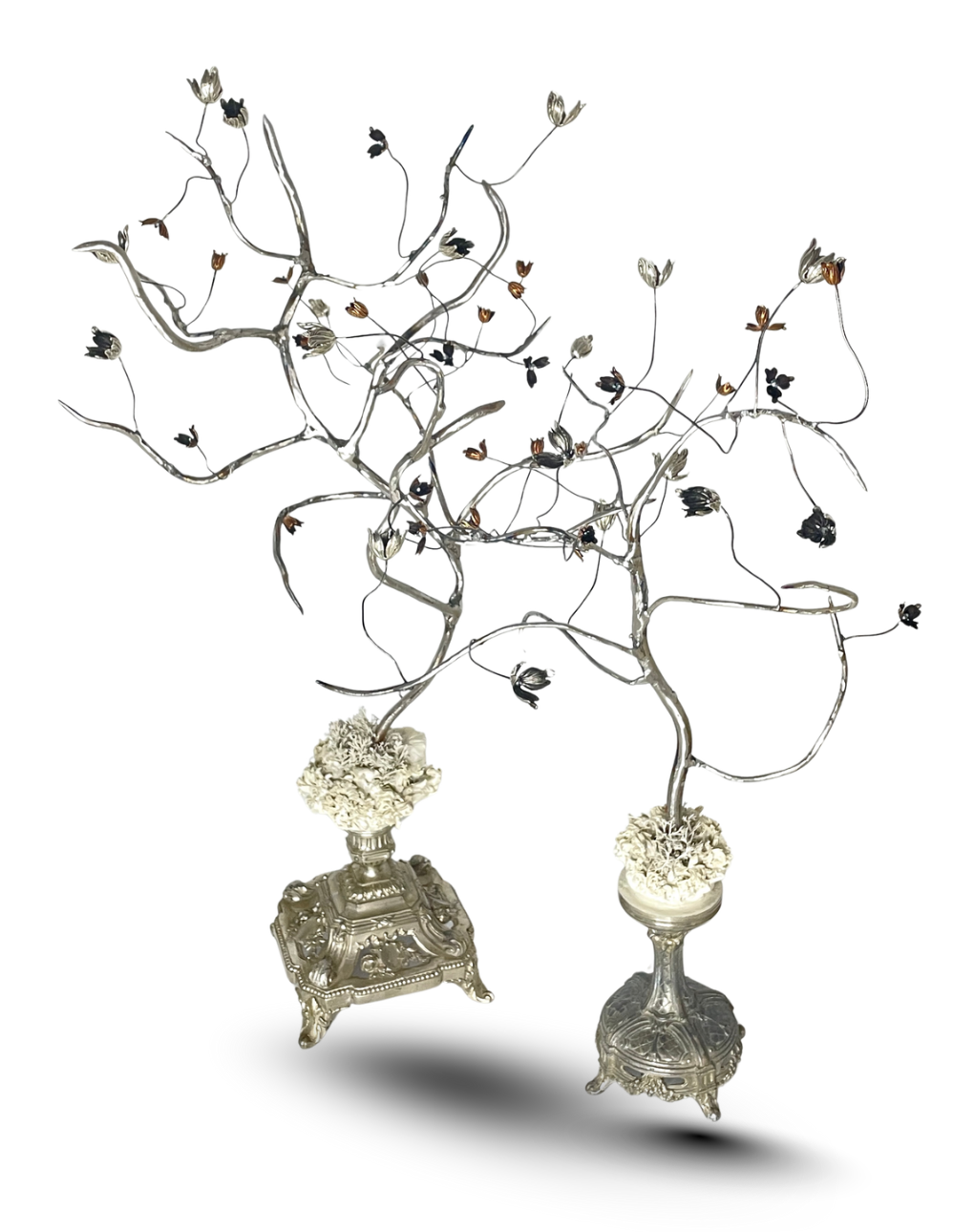 'Strong Winds, Deep Roots I' by Gai Saunders