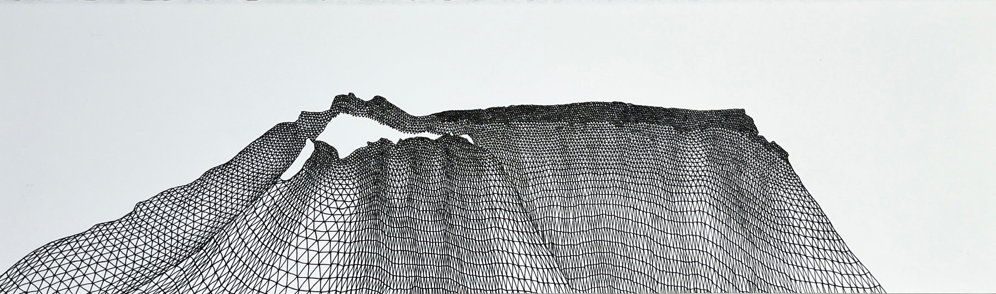'Thick Skinned’ by Shanti Gelmi