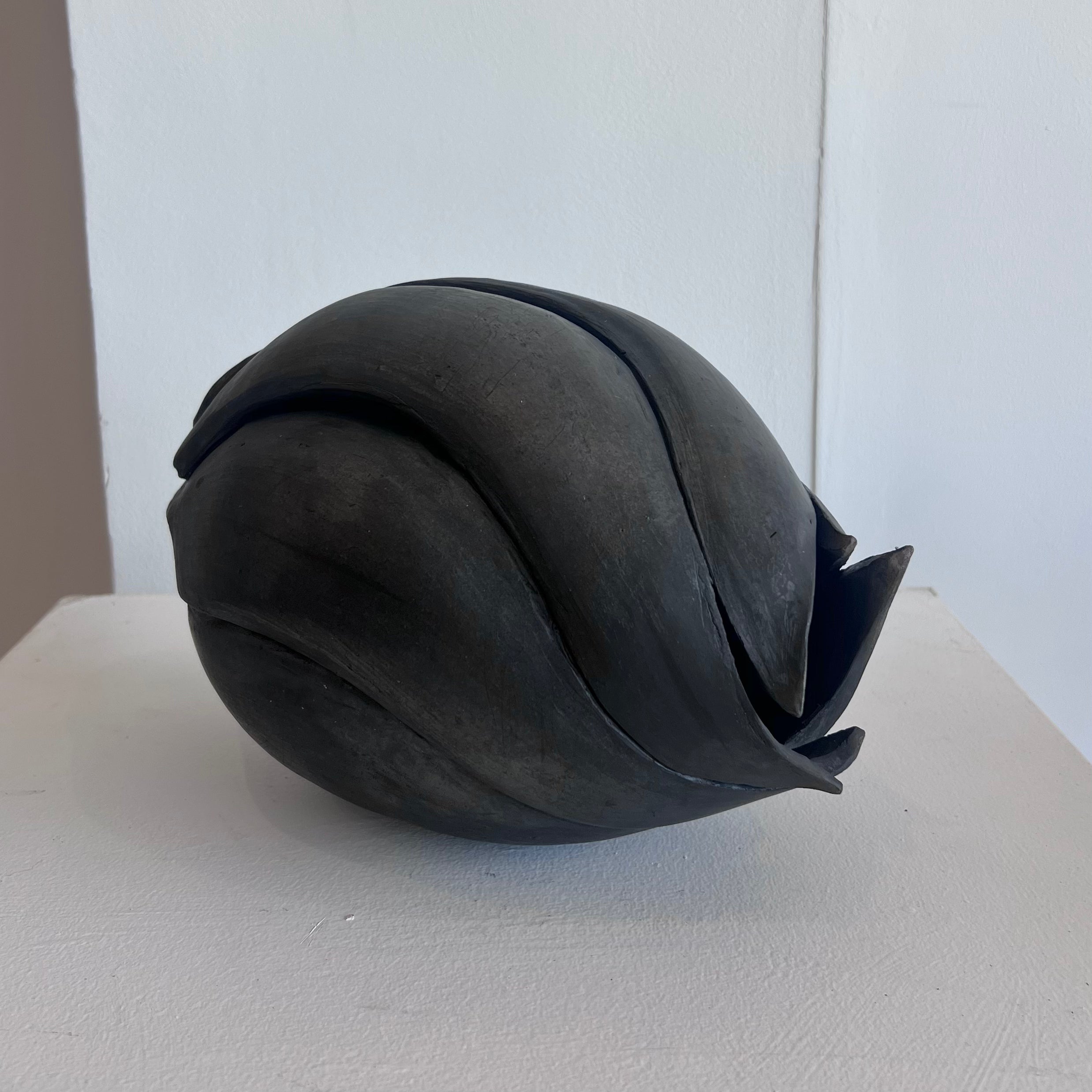 'Stories of Seed; A' by Melissa Ellero