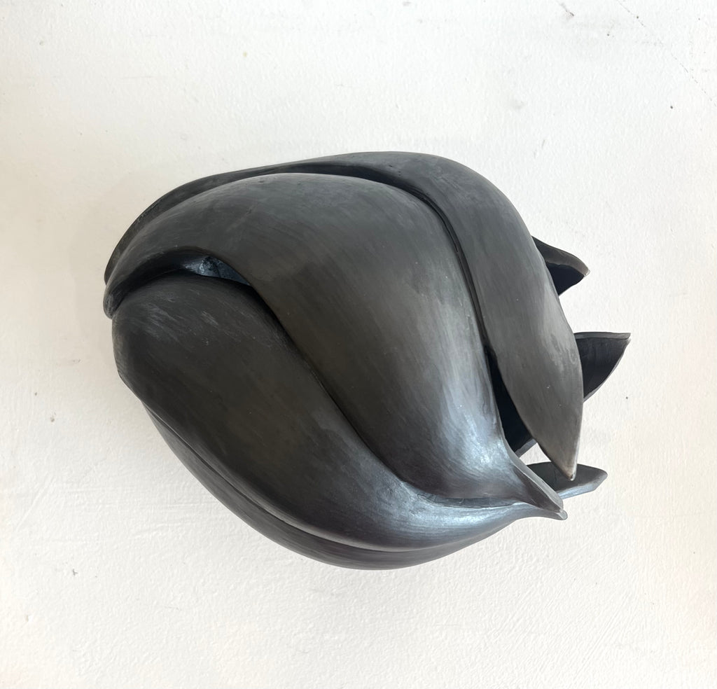 'Stories of Seed; B' by Melissa Ellero