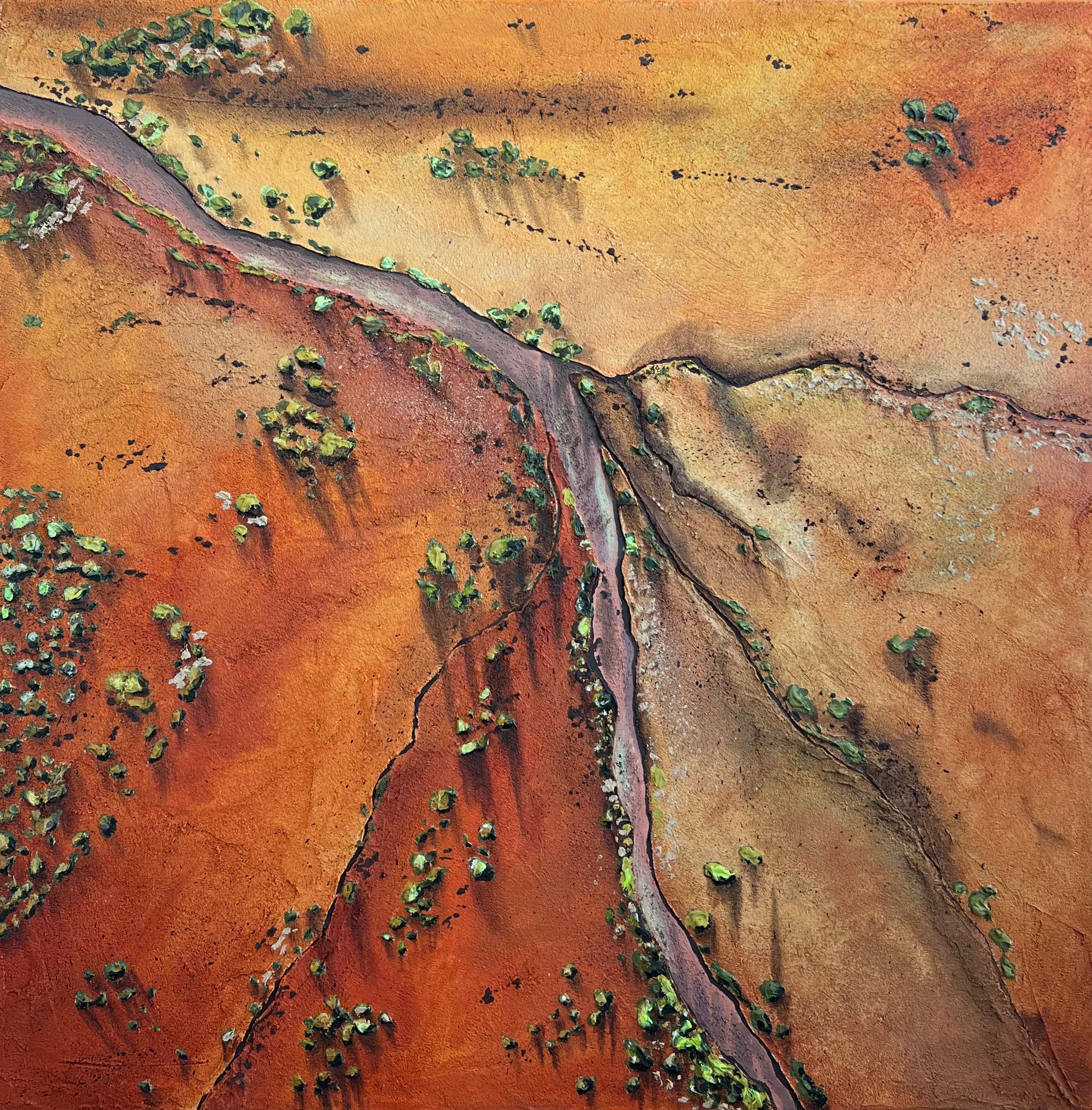 'Birds eye of Newman' by Iantha Palioudakis