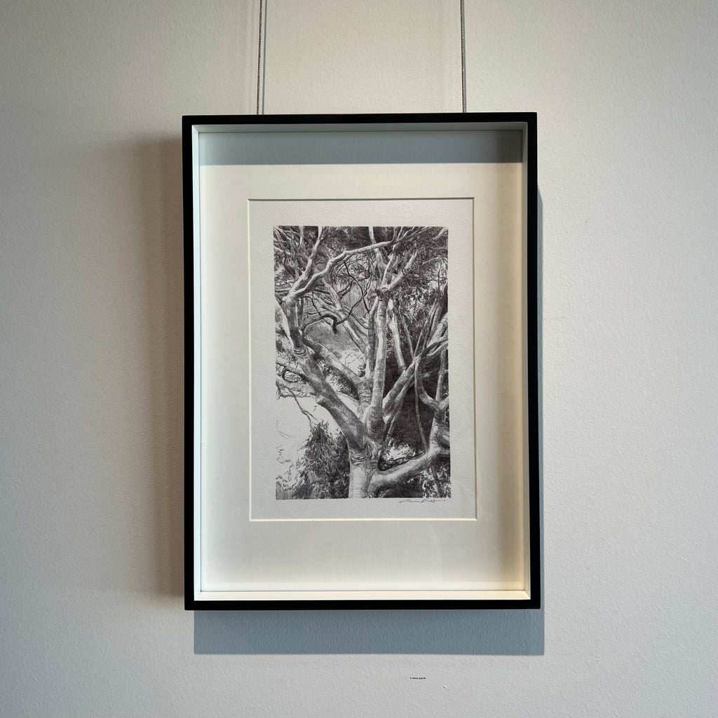 'White Gum Valley. Homage to Home' by Eleisha Pirouet
