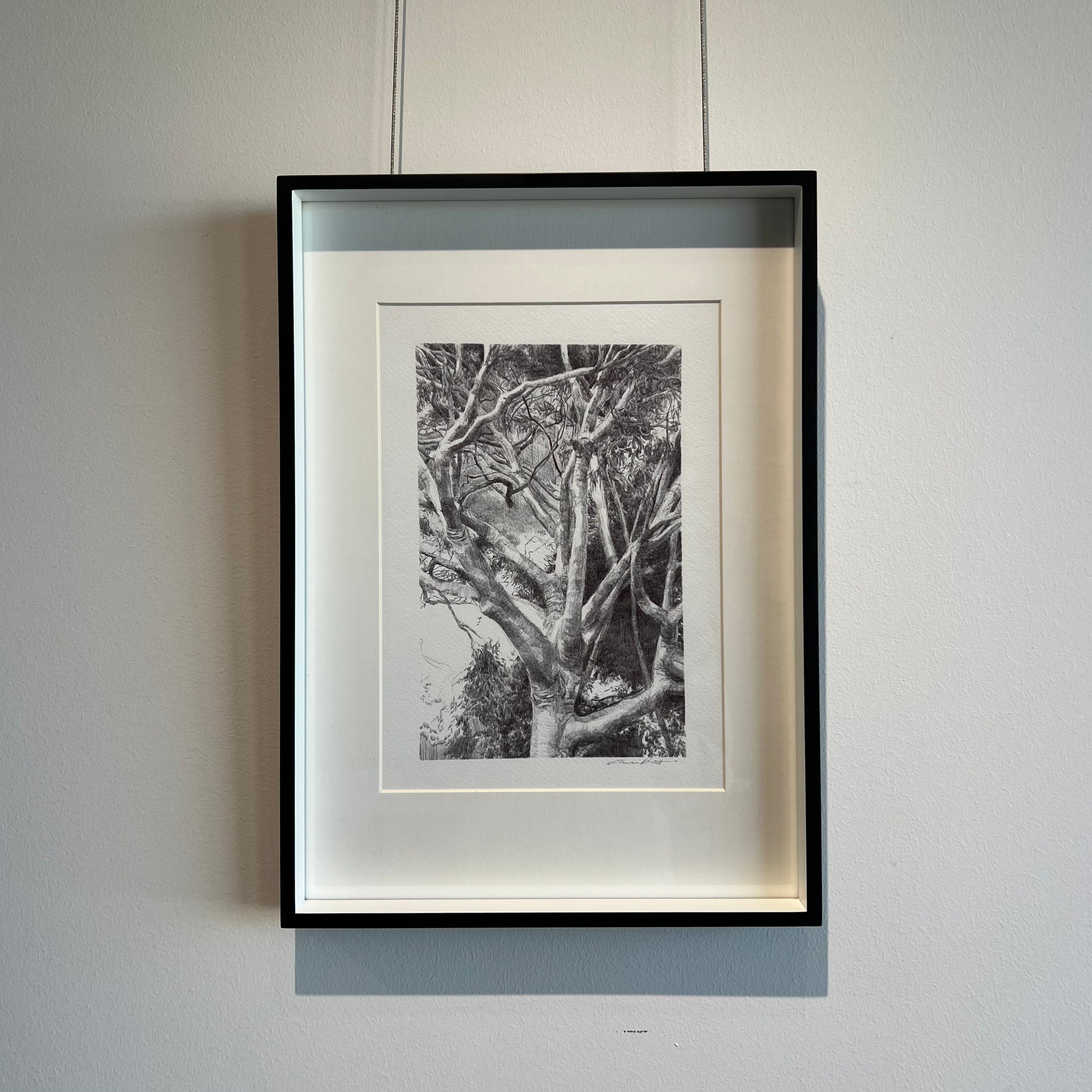 'White Gum Valley. Homage to Home' by Eleisha Pirouet