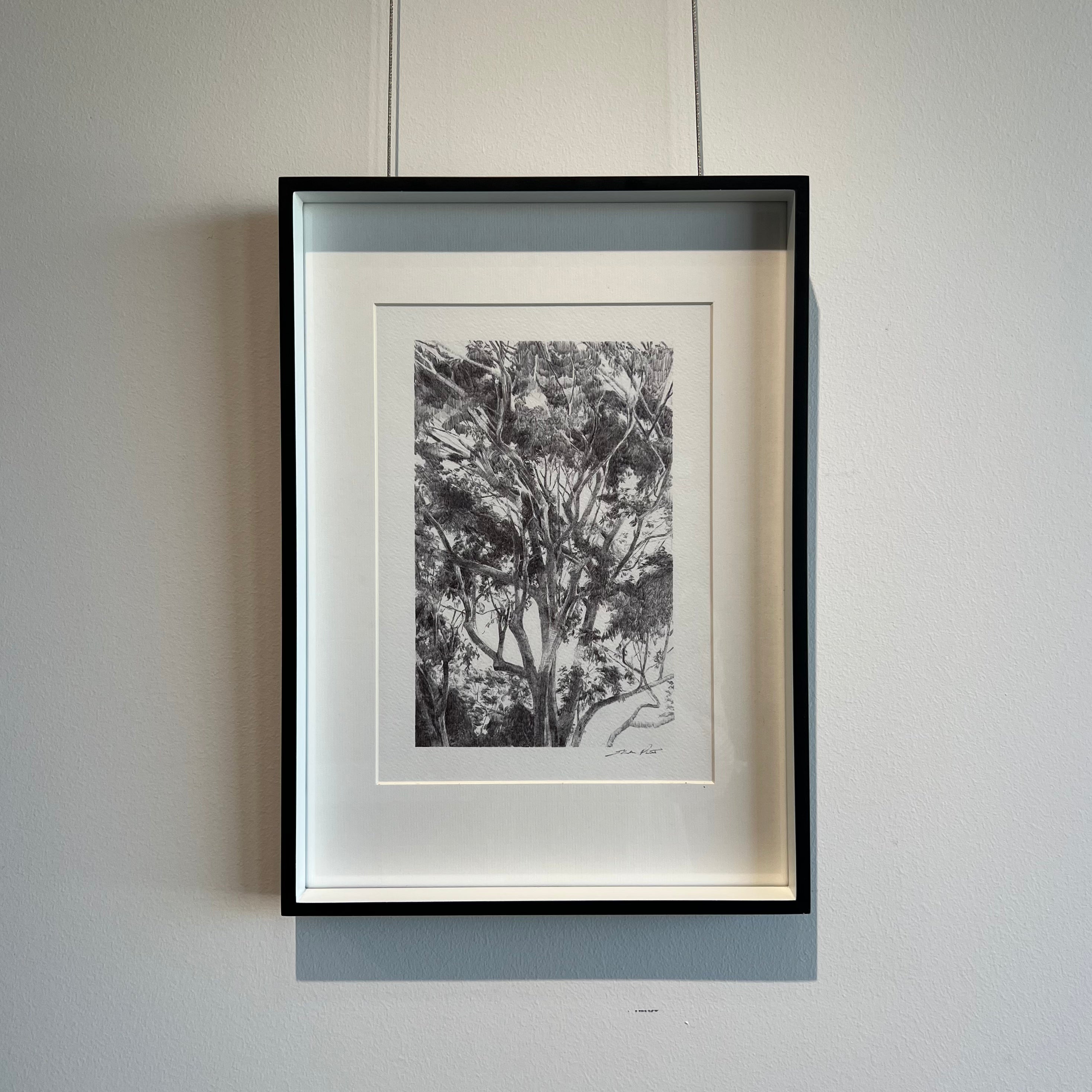 'Ivory Tower' by Eleisha Pirouet