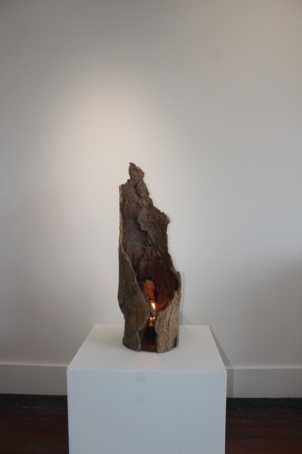 'Ember Hollow' by Barry Becker