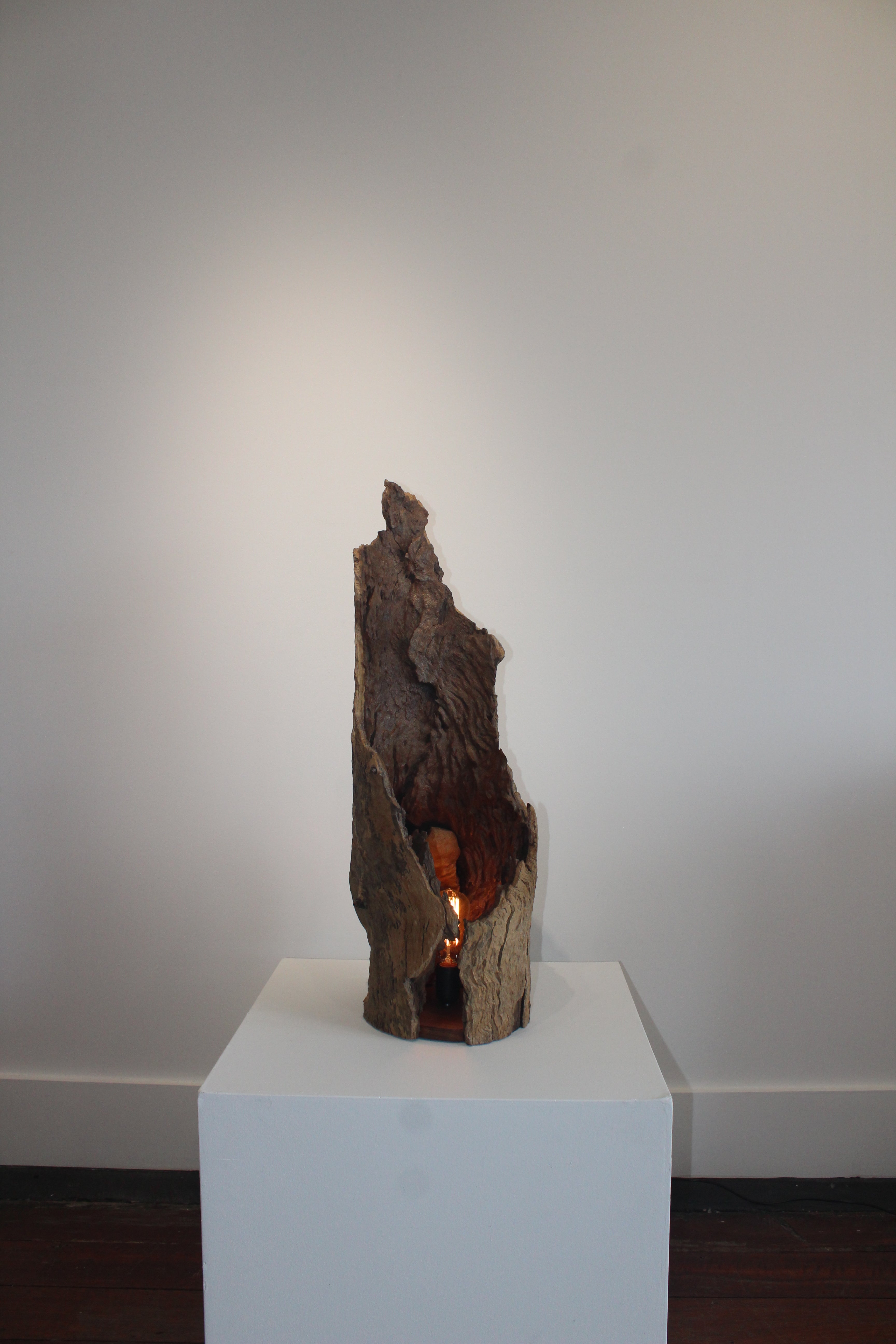 'Ember Hollow' by Barry Becker