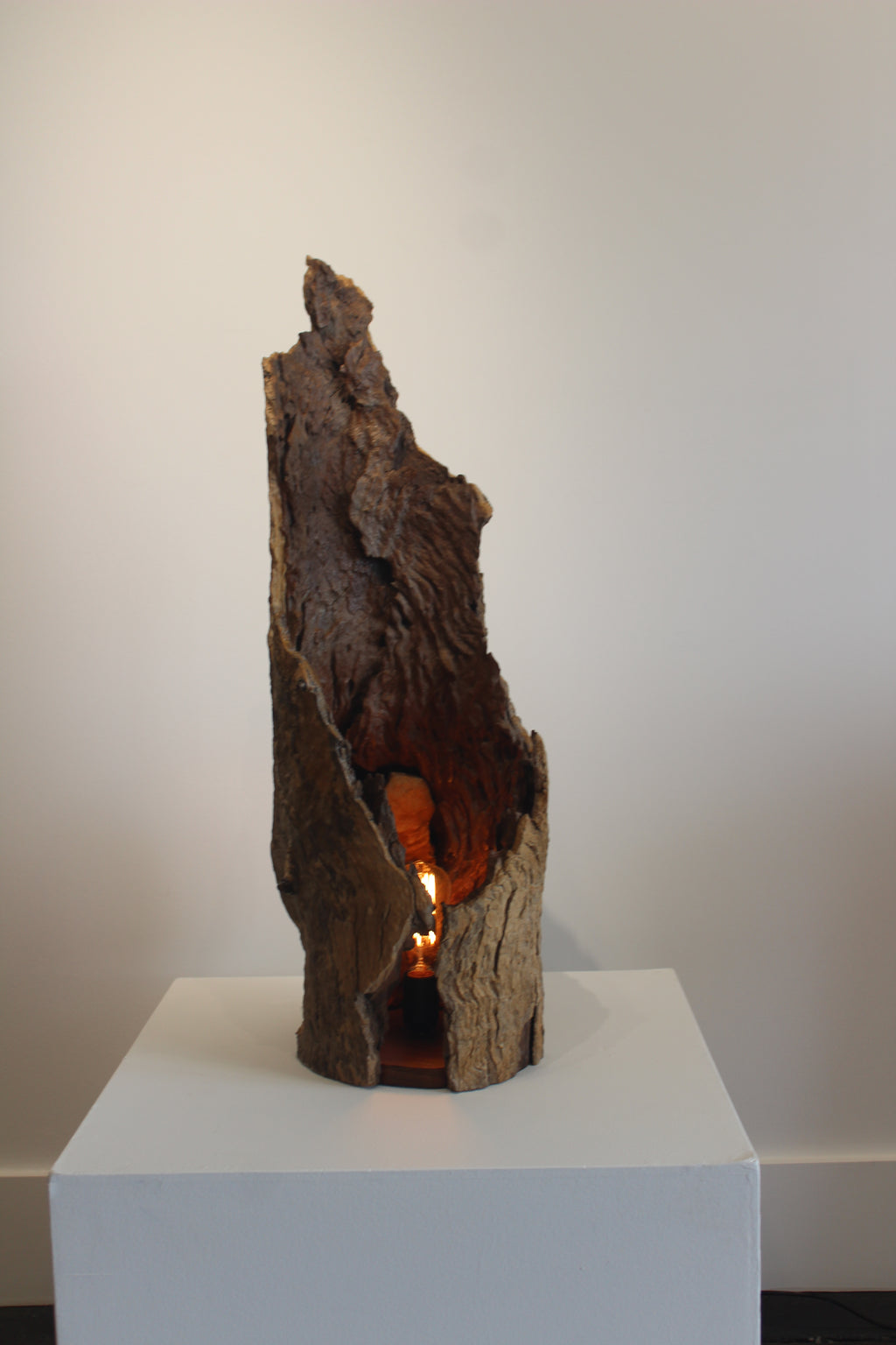 'Ember Hollow' by Barry Becker