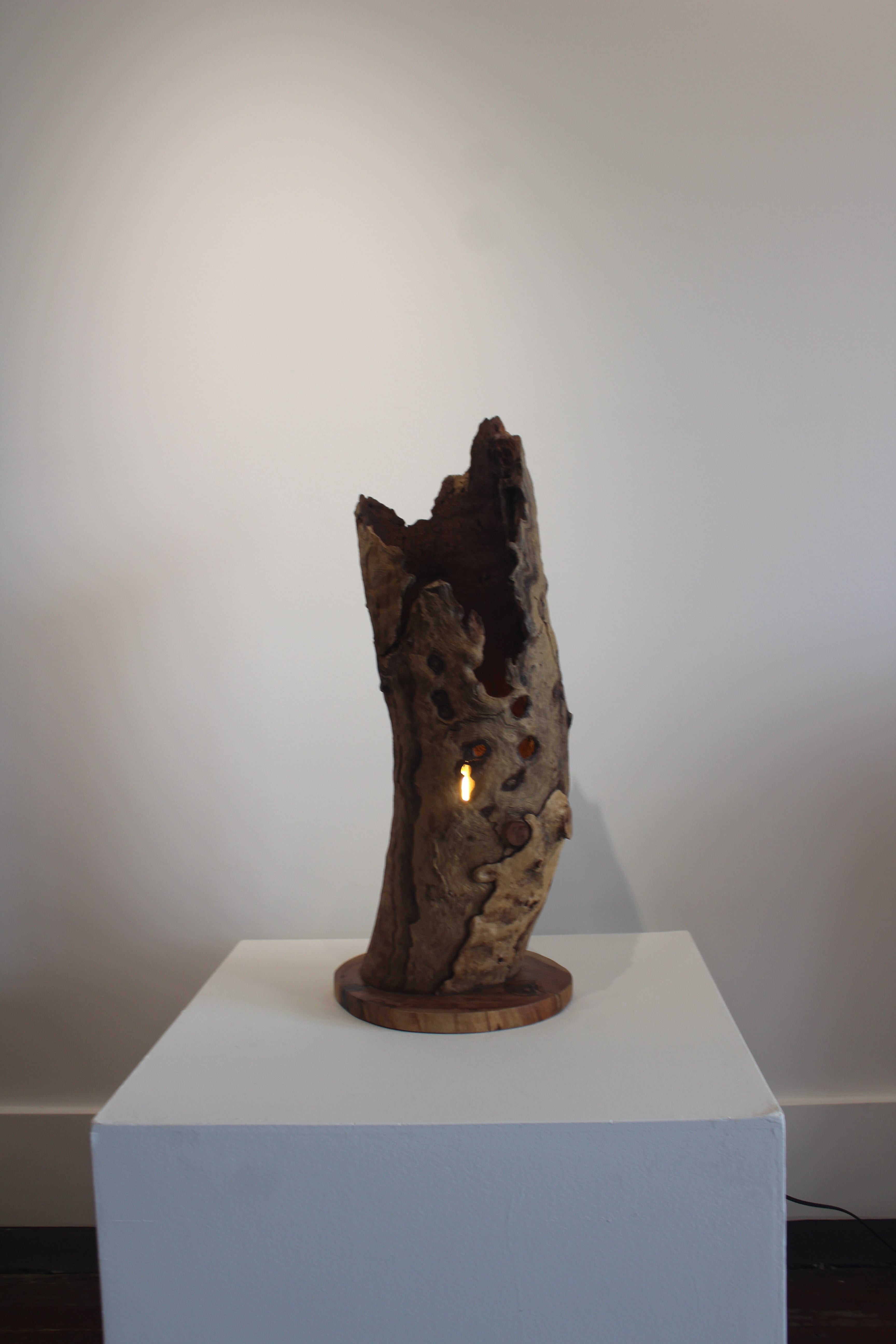 'Lantern of the Old Forest' by Barry Becker