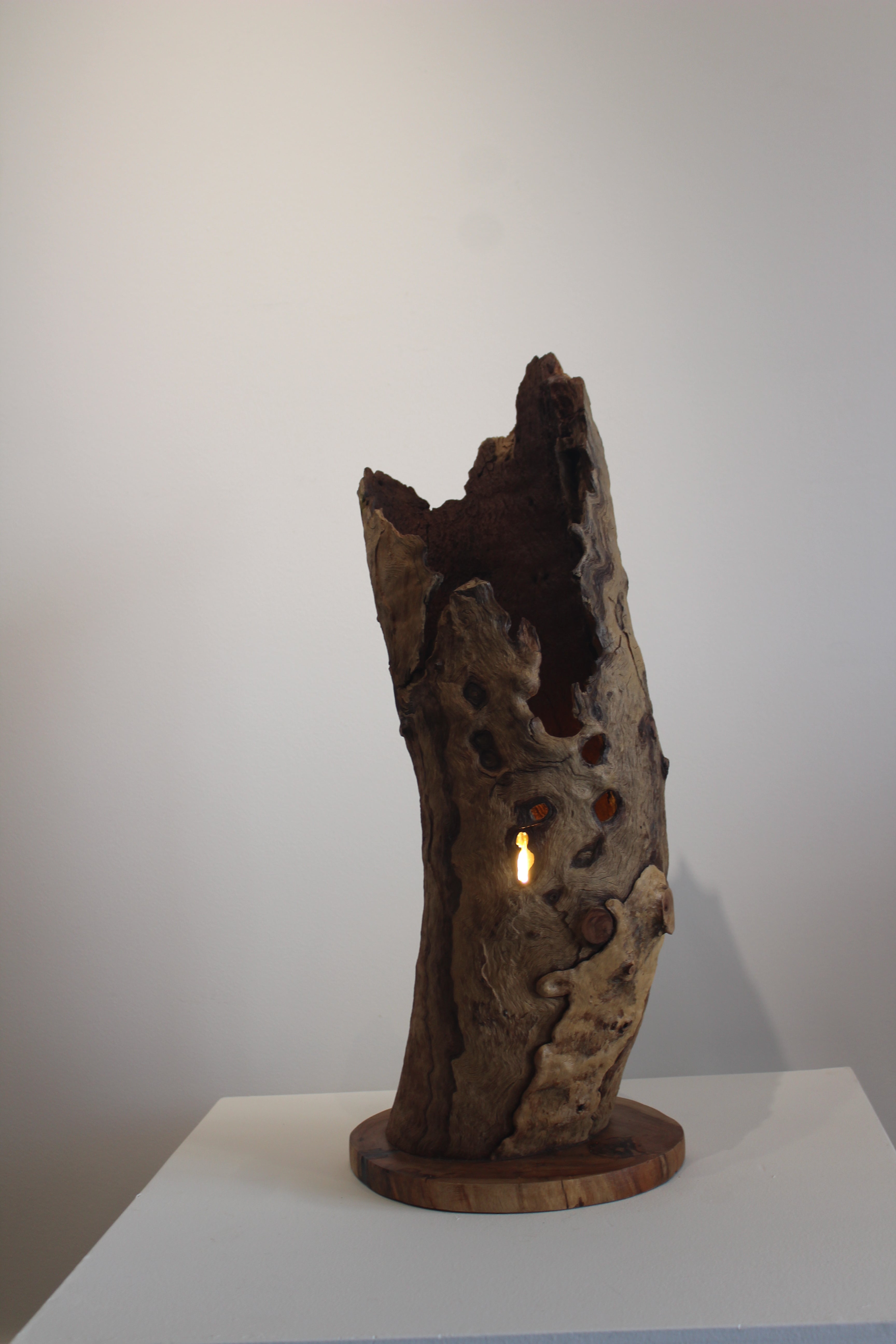 'Lantern of the Old Forest' by Barry Becker