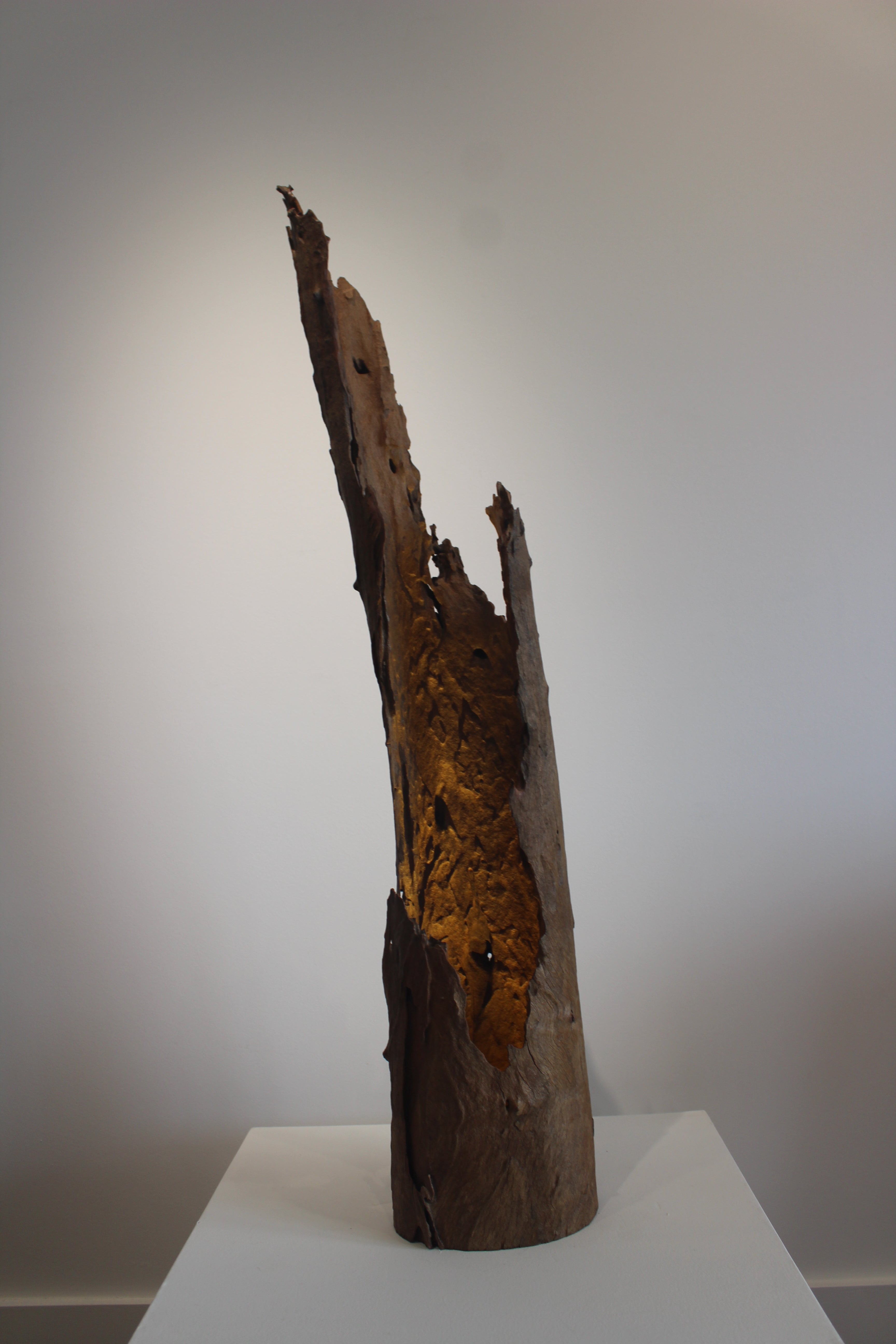 'Dusk to Dawn' by Barry Becker