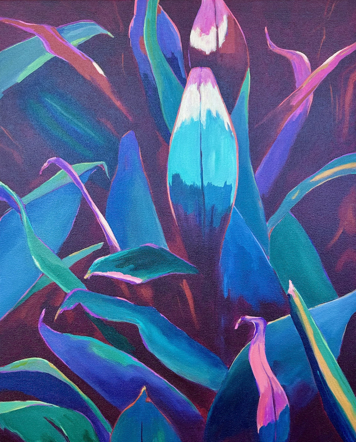 'Red Earth Tropics' by Annabelle Brockman