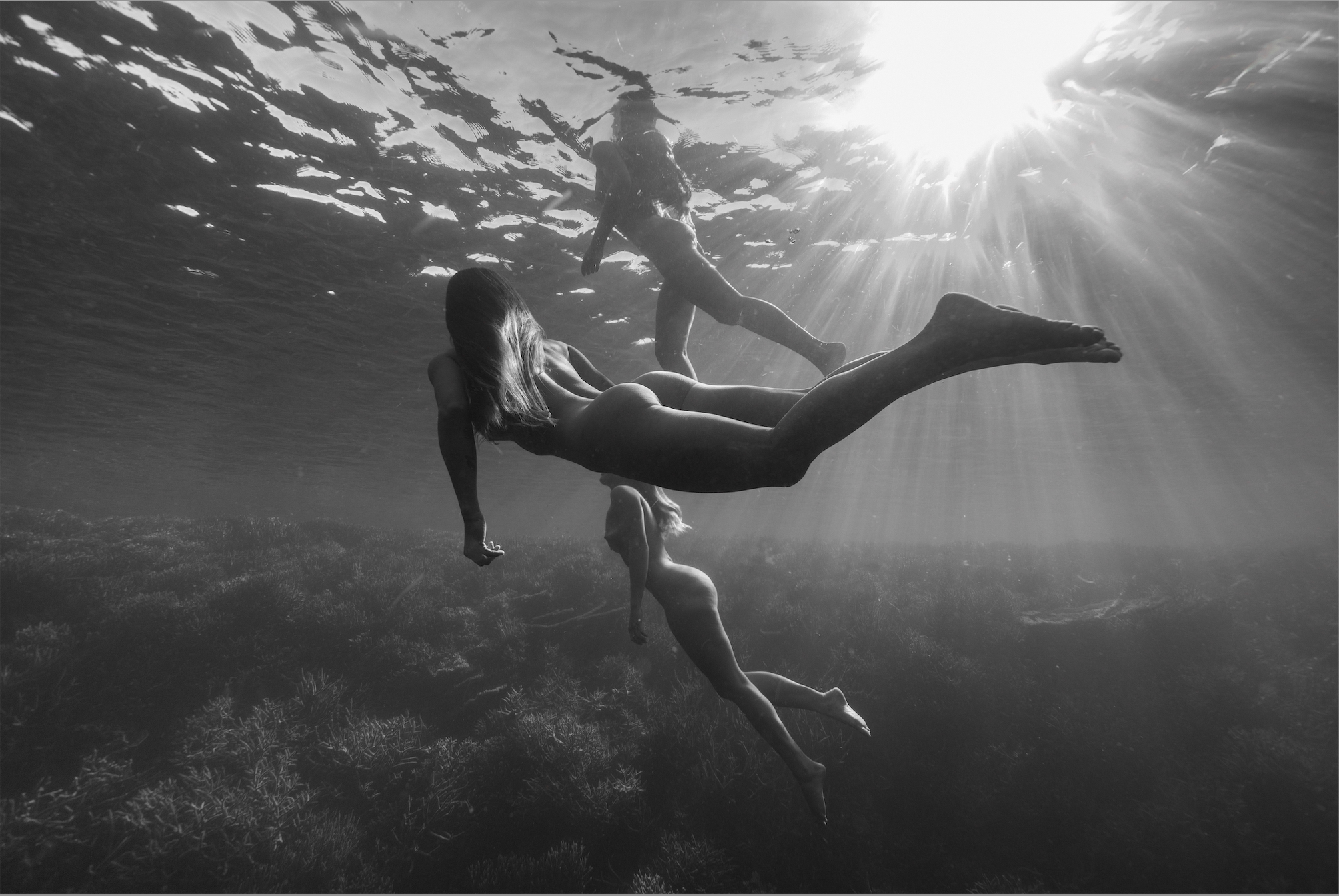 'Sister’ by Annie Lila Smith