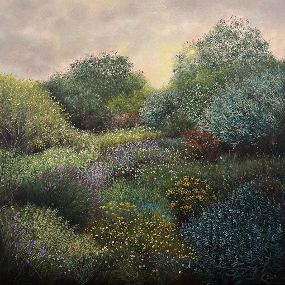 'Morning Light' by Samara Reith