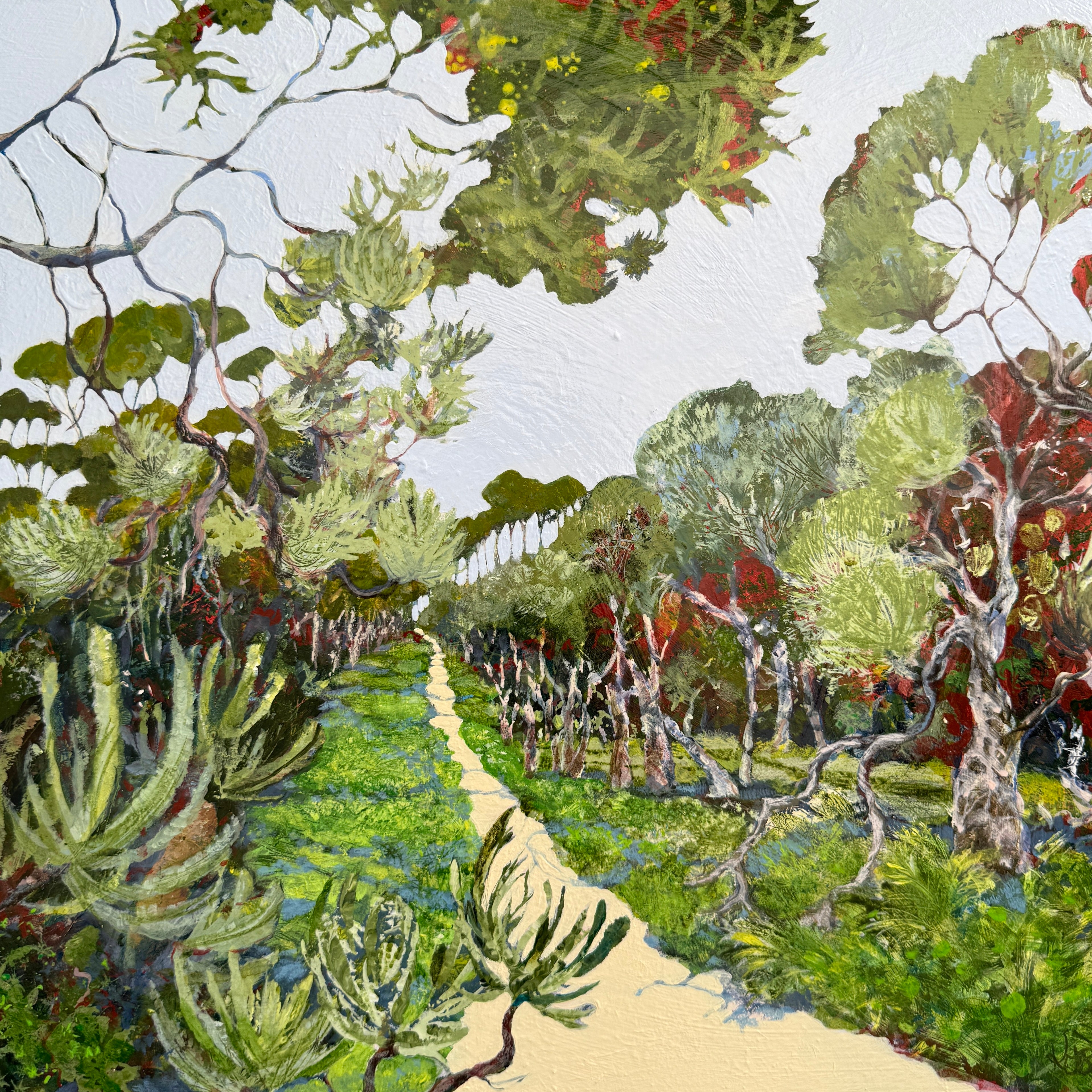 'Zamia Rising' by Karina Buckingham