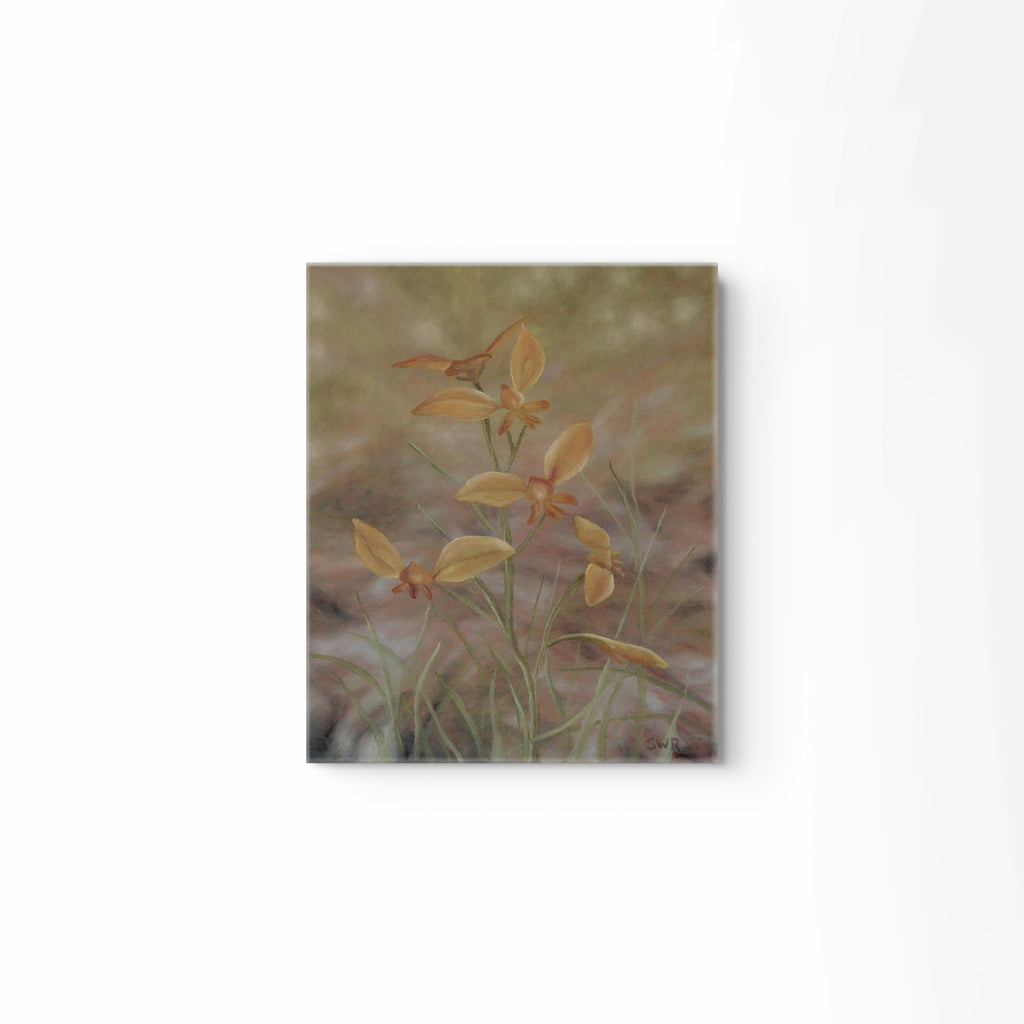 'Donkey Orchid' by Samara Reith