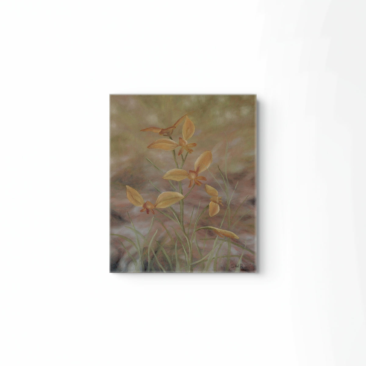 'Donkey Orchid' by Samara Reith