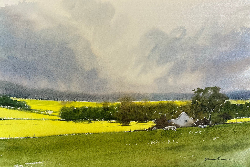 'Fields of Canola by Jill Bryant