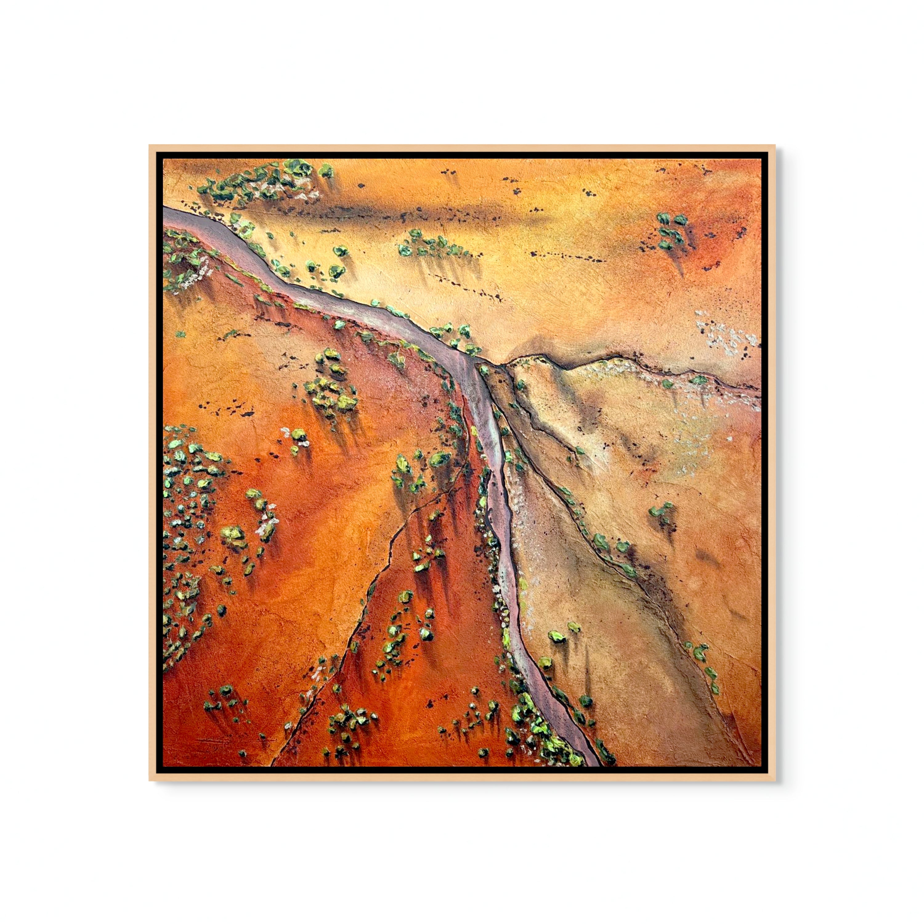 'Birds eye of Newman' by Iantha Palioudakis