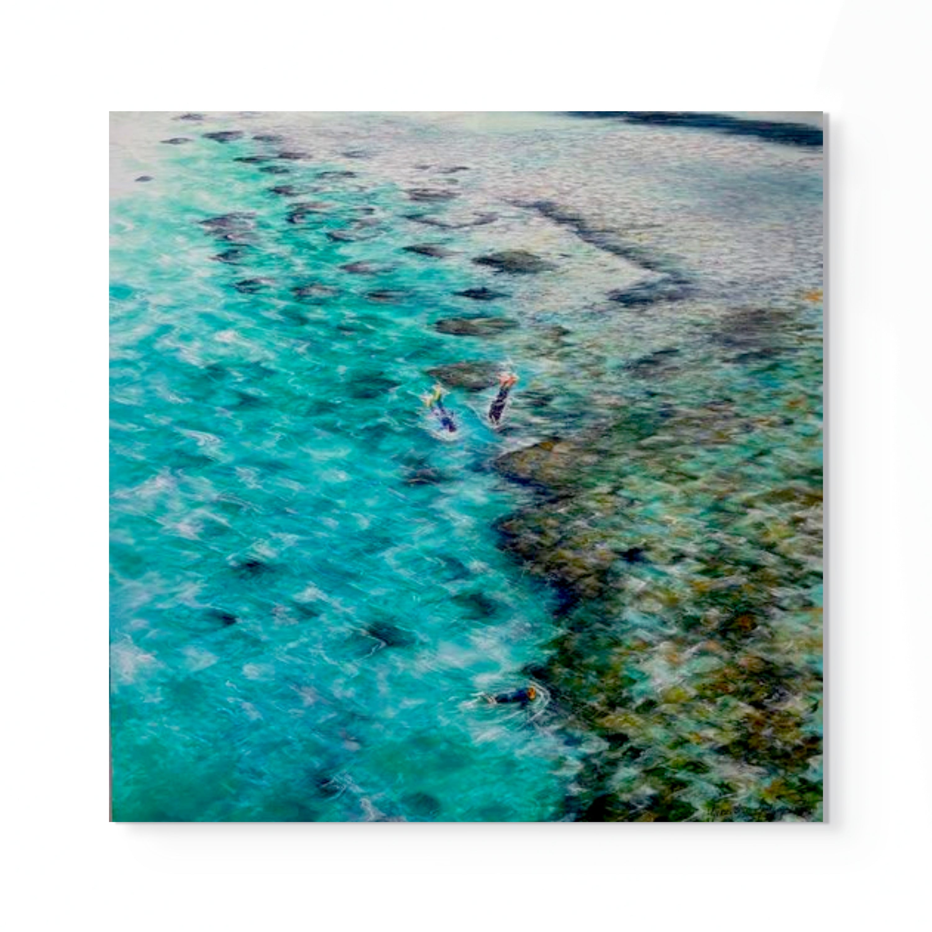 'Magic Reef Snorkelling (Rottnest)' by Genevieve Montgomerie