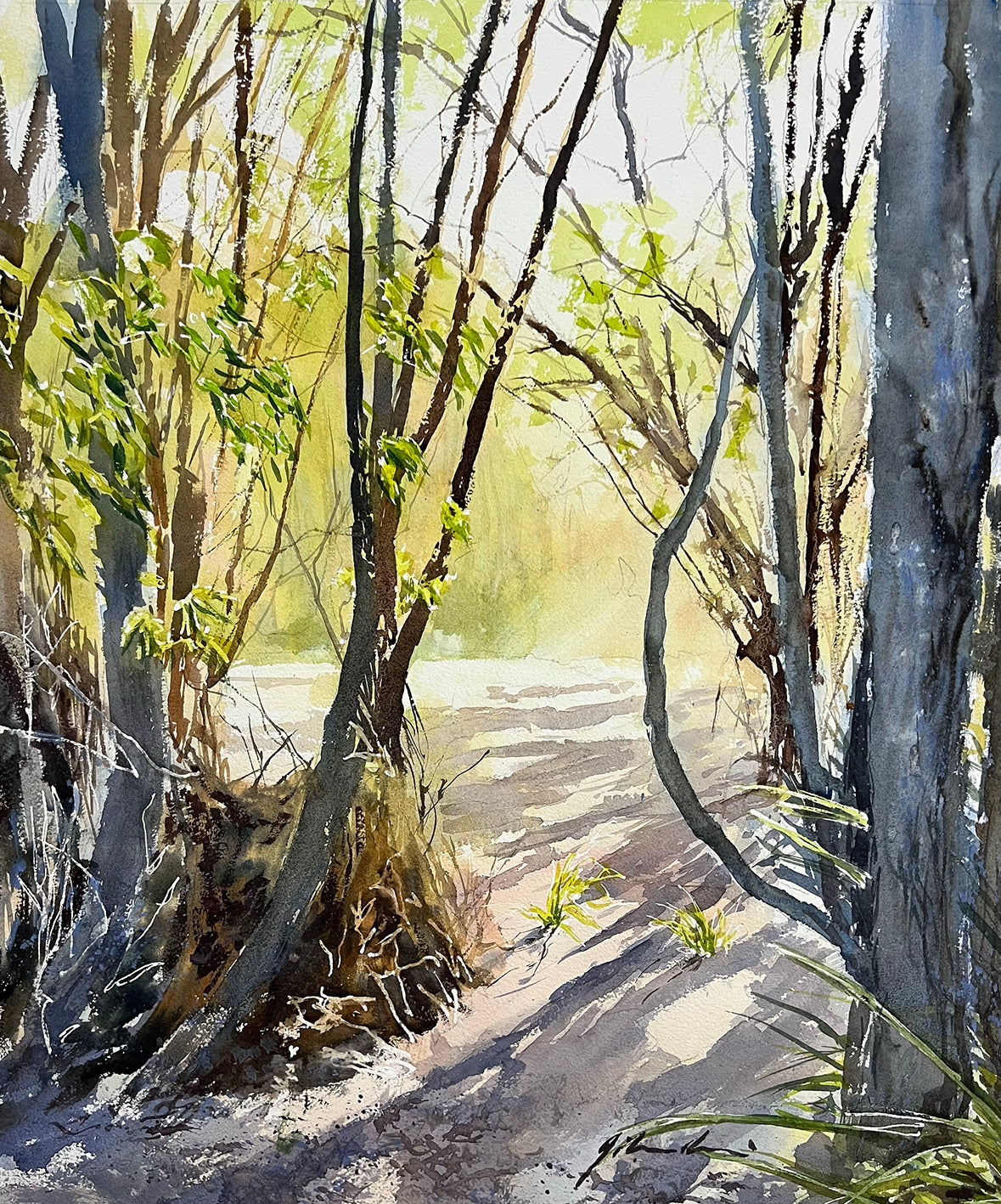 'Lingering Light' by Jill Bryant