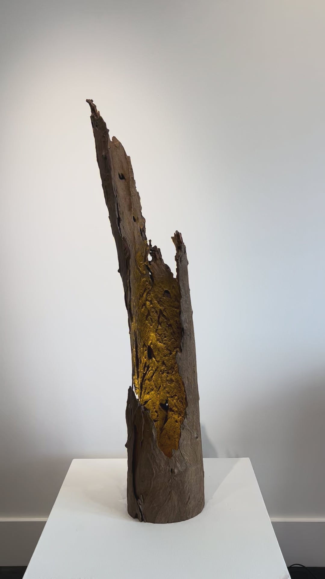 'Dusk to Dawn' by Barry Becker