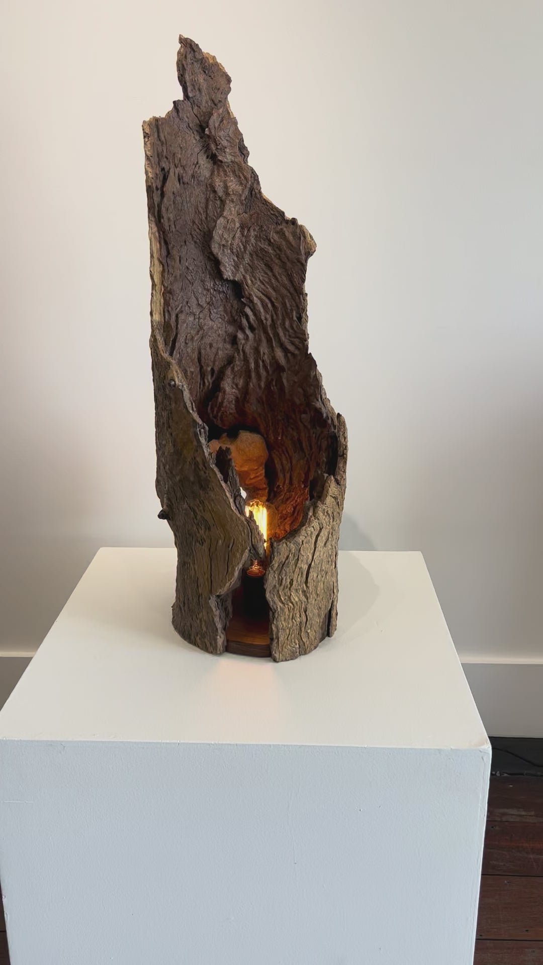 'Ember Hollow' by Barry Becker