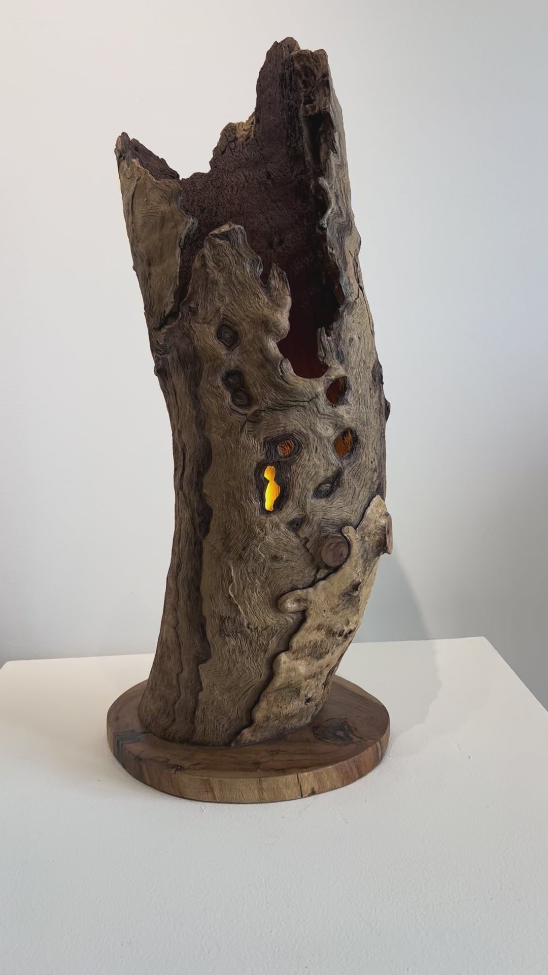 'Lantern of the Old Forest' by Barry Becker