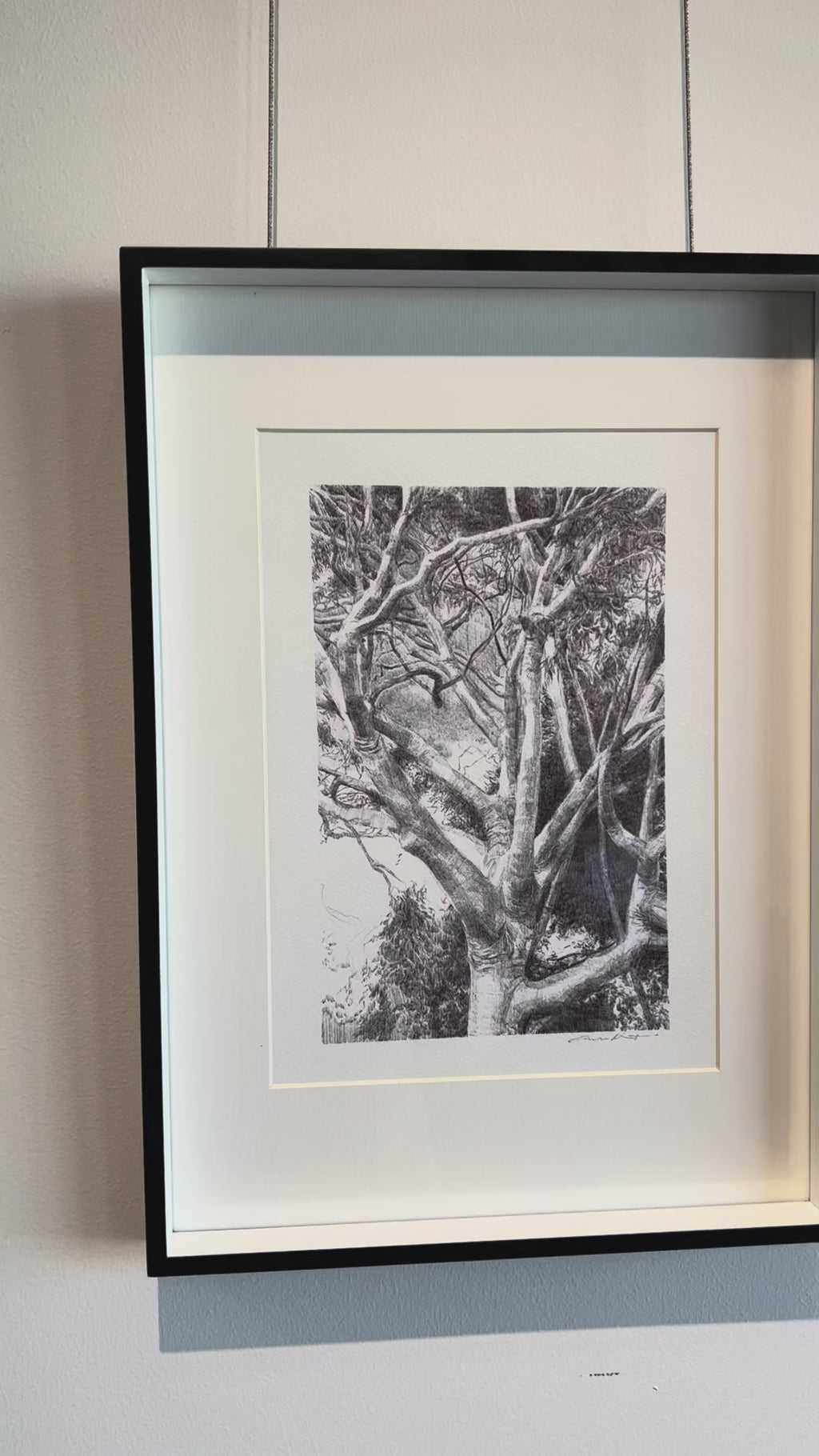 'White Gum Valley. Homage to Home' by Eleisha Pirouet