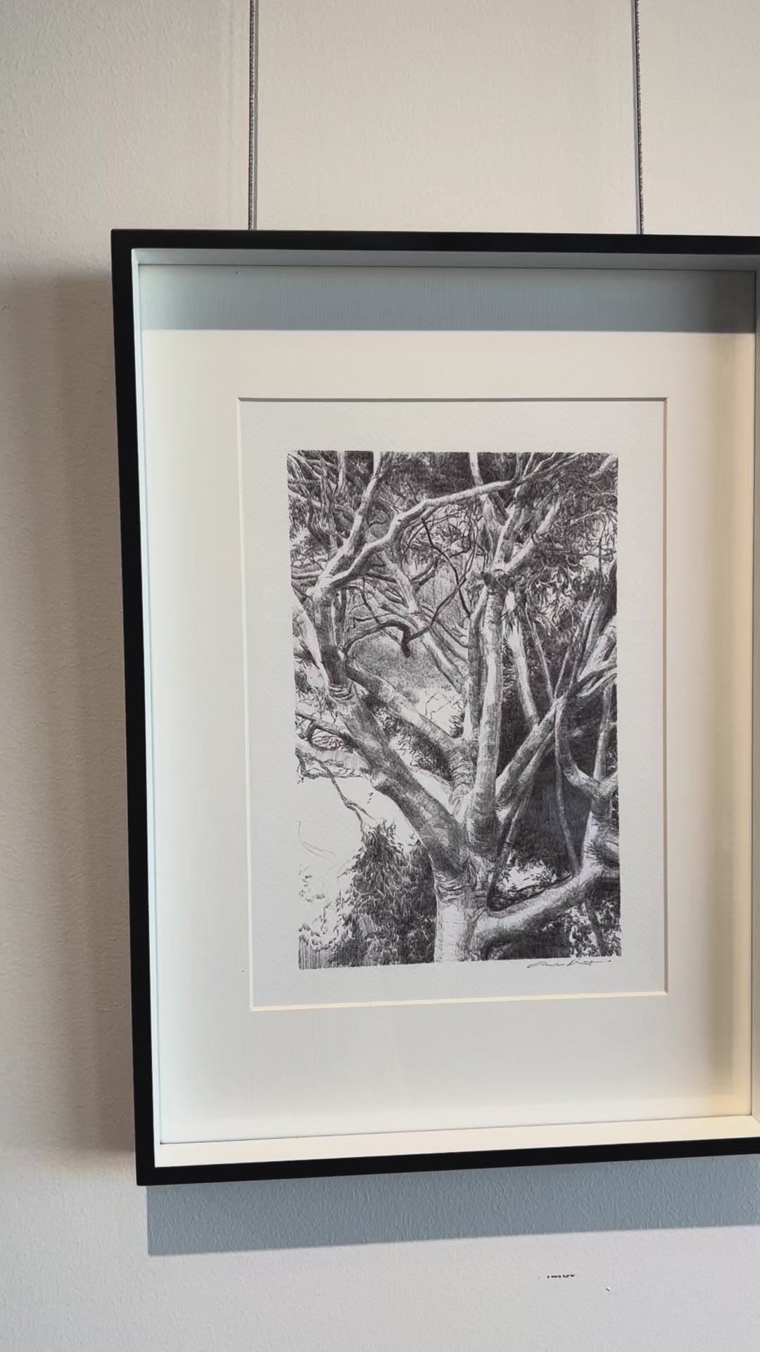 'White Gum Valley. Homage to Home' by Eleisha Pirouet