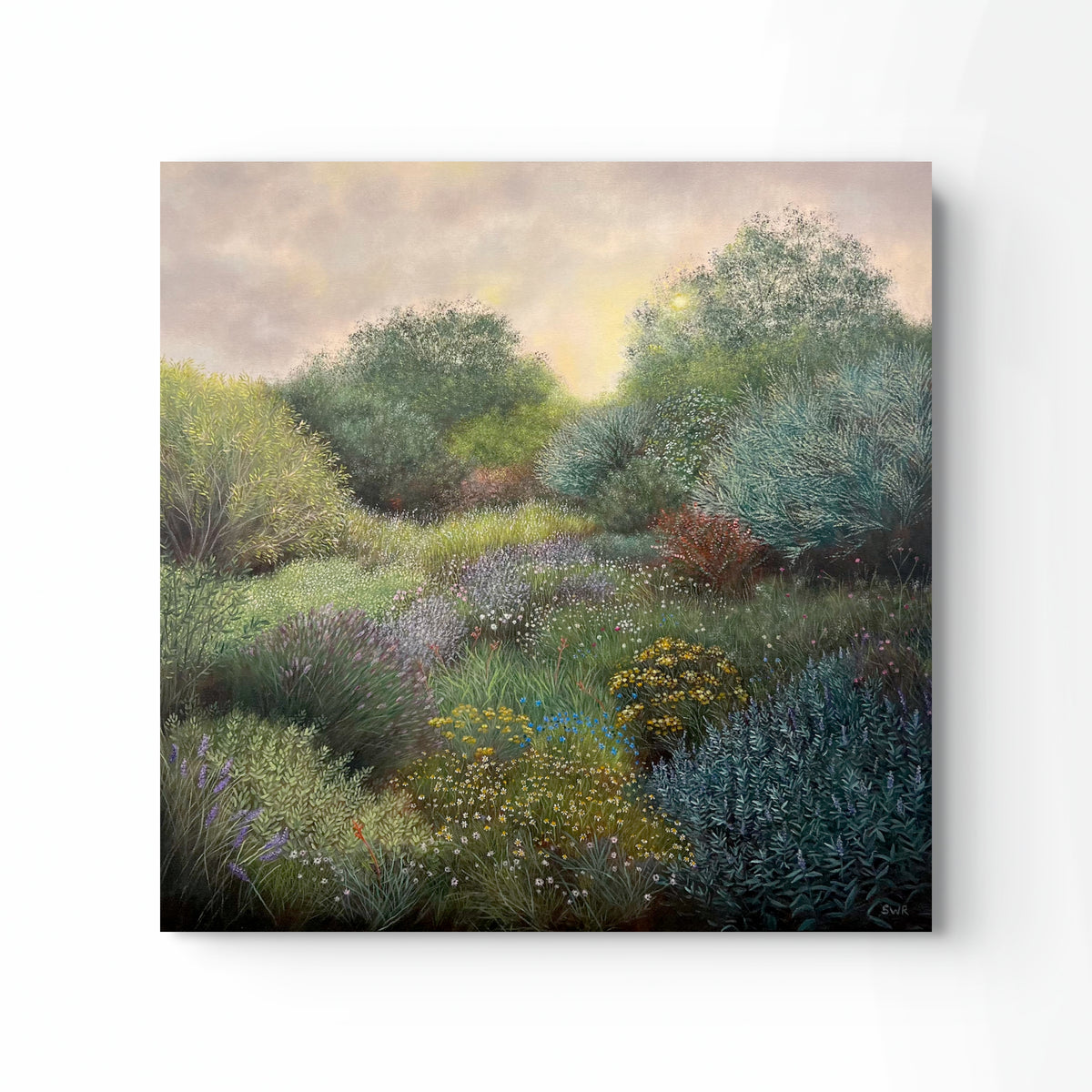 'Morning Light' by Samara Reith
