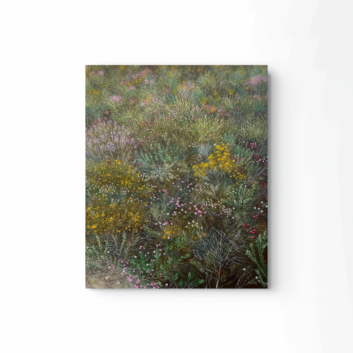 'Spring Carpet' by Samara Reith
